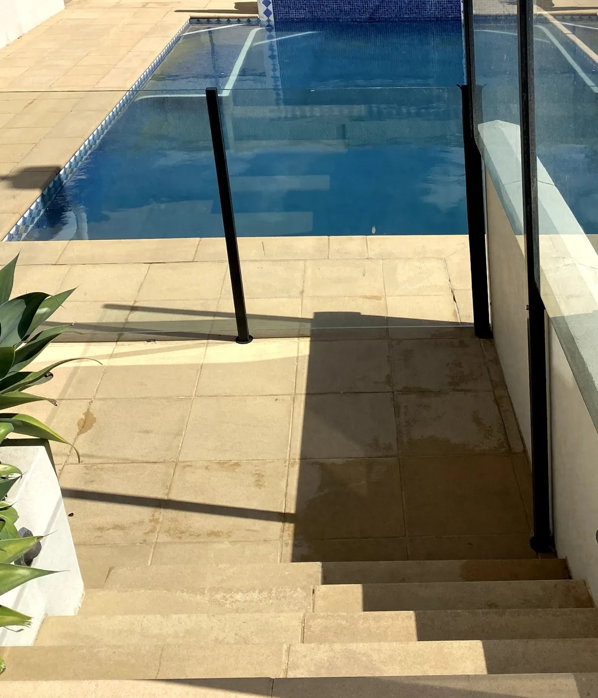 Pool surrounds after cleaning — bright, restored sandstone pavers